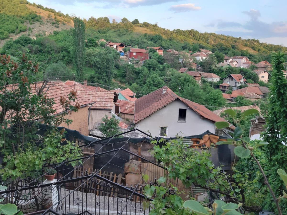 Vila Mir Pirot Luaran gambar