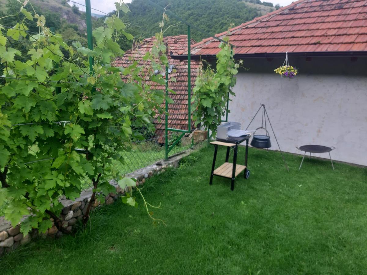Vila Mir Pirot Luaran gambar