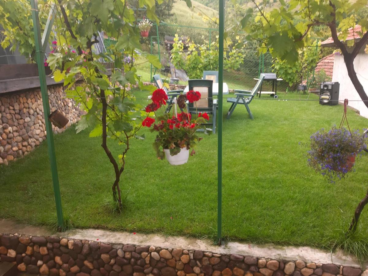 Vila Mir Pirot Luaran gambar