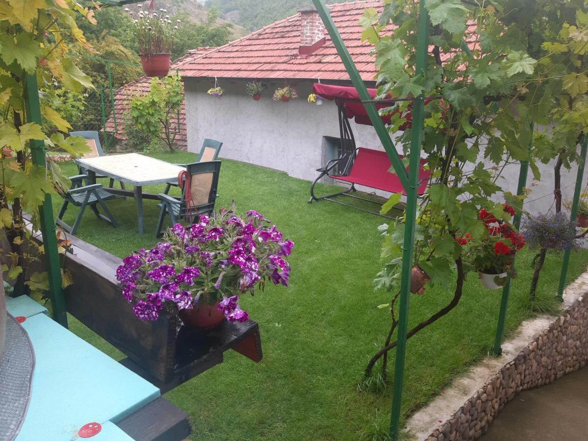 Vila Mir Pirot Luaran gambar
