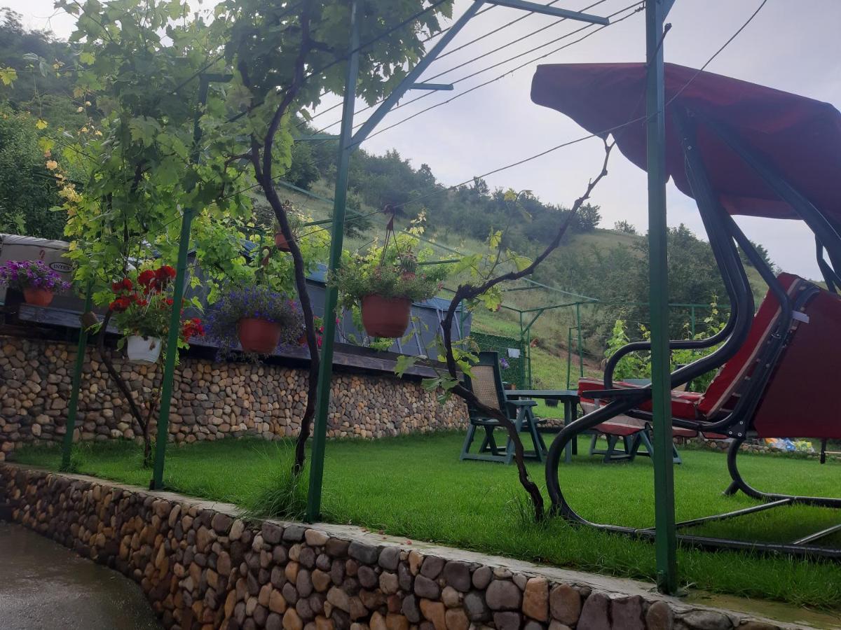 Vila Mir Pirot Luaran gambar