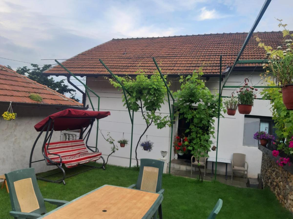 Vila Mir Pirot Luaran gambar